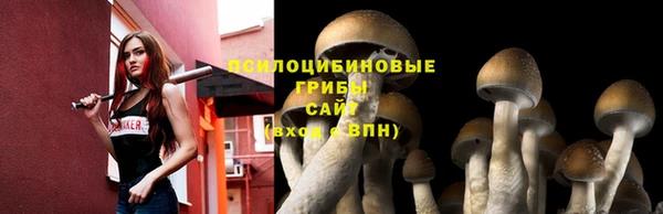спайс Алексин